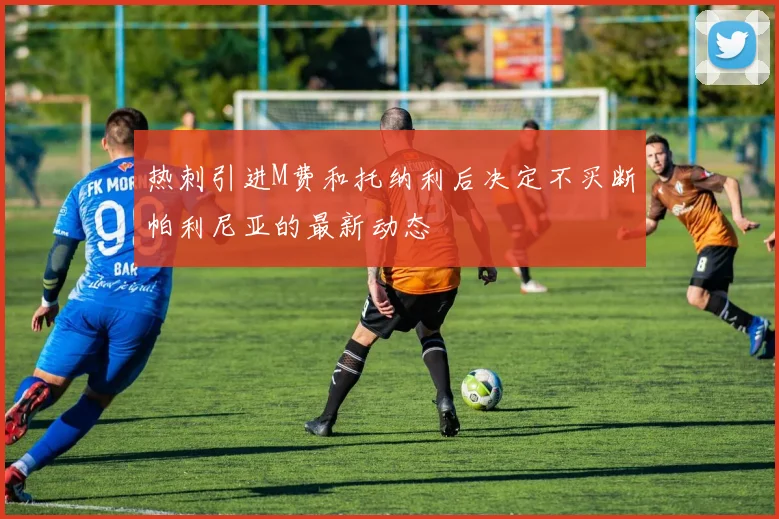 热刺引进M费和托纳利后决定不买断帕利尼亚的最新动态